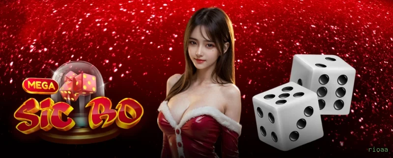 rioaa slots no app